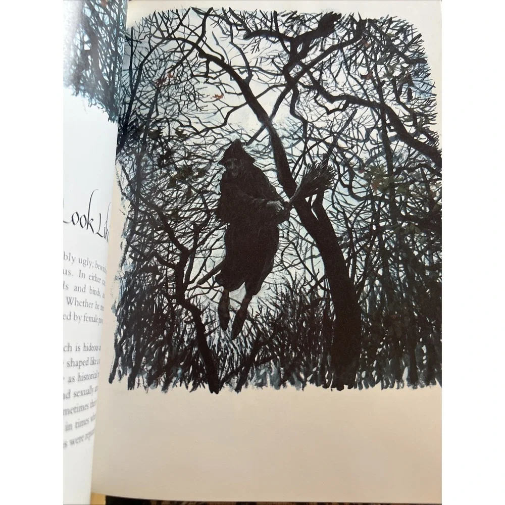 1981 Witches By Erica Jong Hardcover